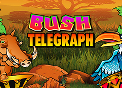 Bush Telegraph